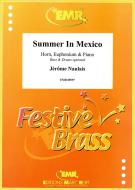 Summer In Mexico Download