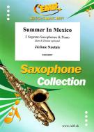 Summer In Mexico Download