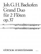 Grand Duo op. 37 