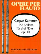 Trio brillant op. 30 