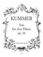 Trio für 3 Flöten, op. 24 