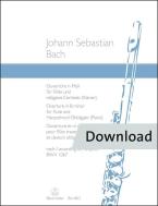 Ouvertüre aus der Orchestersuite in h-Moll BWV 1067 Download