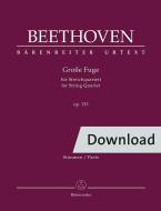 Große Fuge für Streichquartett op. 133 Download