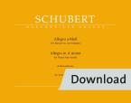 Allegro a-Moll op. post. 144 D 947 "Lebensstürme" Download