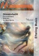 Droomvlucht 