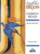 Embryo Brass 