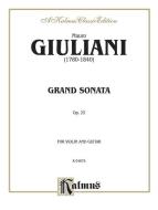 Grand Sonata for Violin and Guitar, Op. 25 Download