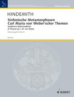 Sinfonische Metamorphosen Standard