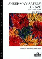 Schafe können sicher weiden 