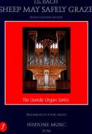 Schafe können sicher weiden 