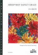 Schafe können sicher weiden 