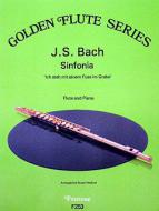 Sinfonia from BWV 156 