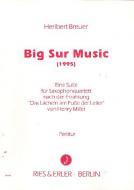 Big Sur Music 