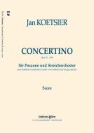Concertino op. 91 Download