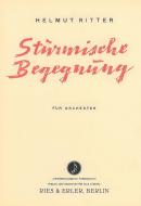 Stürmische Begegnungen 