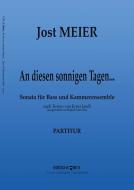 An diesen sonnigen Tagen Download