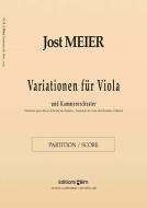 Variationen für Viola und Kammerorchester Download