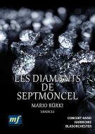 Les diamants de Septmoncel 