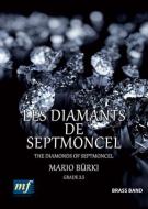 Les diamants de Septmoncel 