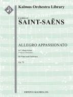 Allegro Appassionato, op. 70 