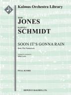 Soon It's Gonna Rain (from The Fantasticks) 