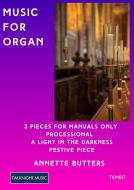 3 pieces for Manuals Only 