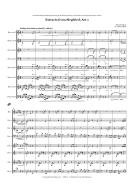 Extracts from Siegfried Act I 