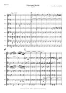 Perpetuum Mobile op. 257 