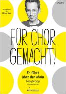 Es führt über den Main Standard