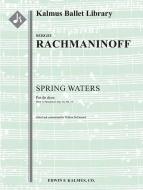 Spring Waters: Pas de deux (from 12 Romances, op. 14, No. 11) 