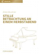 Stille Betrachtung an einem Herbstabend 