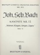 Weinen, Klagen, Sorgen, Zagen 