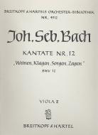 Weinen, Klagen, Sorgen, Zagen 