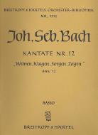 Weinen, Klagen, Sorgen, Zagen 