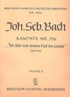 Ich steh mit einem Fuss im Grabe 