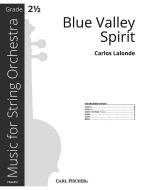 Blue Valley Spirit 