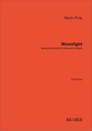 Moonlight (Second Concerto for Oboe and Strings) 