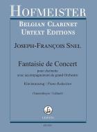 Fantaisie de Concert 
