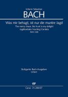 Was mir behagt, ist nur die muntre Jagd BWV 208, BWV3 208.1 