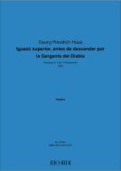 Iguazu superior antes de descender por la garganta 