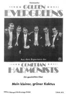 Mein kleiner grüner Kaktus 