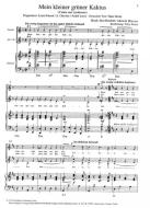 Mein kleiner grüner Kaktus 