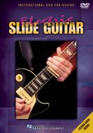 Electric Slide Guitar 