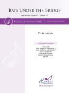 Bats Under the Bridge 