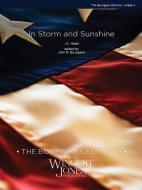 In Storm and Sunshine 