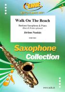 Walk On The Beach Download