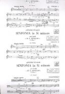 Sinfonia B Minor RV169 FXI#7 T22 