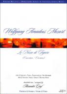 Die Hochzeit des Figaro Ouvertüre 