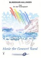 BlindeKari Hallingen 