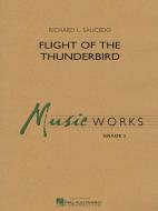 Flight of The Thunderbird Download